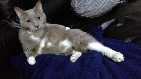 Entry image for Winston Warkentin. Clicking this image will show a larger photo