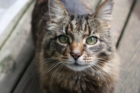 Entry image for Max. Clicking this image will show a larger photo