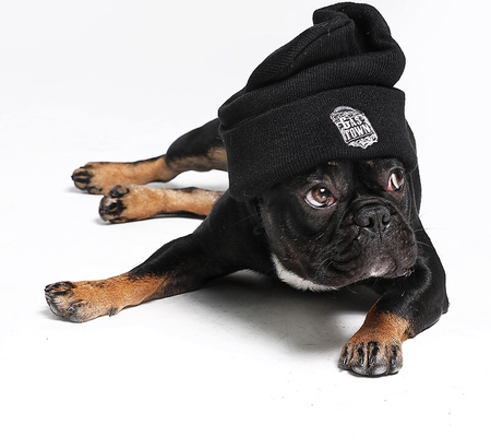 Entry image for Justin. Clicking this image will show a larger photo