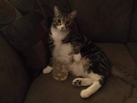 Entry image for Commander Shepard. Clicking this image will show a larger photo