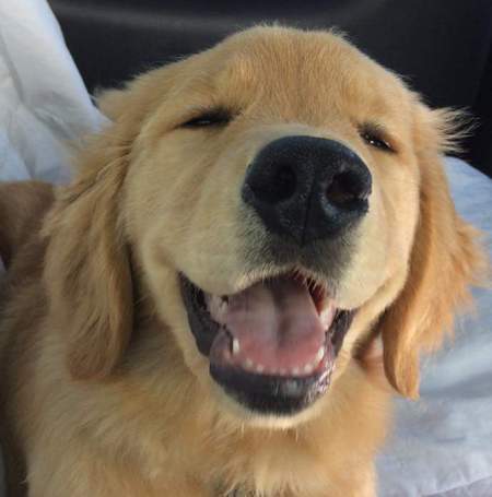 Entry image for MIA - Mischief in Action. Clicking this image will show a larger photo