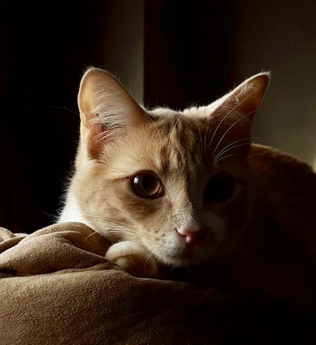 Entry image for Georgy. Clicking this image will show a larger photo