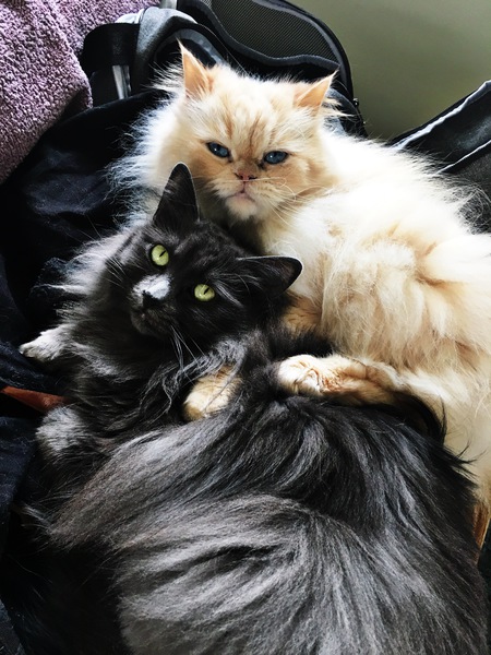 Entry image for Beverly and Frederick. Clicking this image will show a larger photo