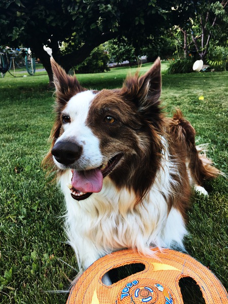 Entry image for Anna. Clicking this image will show a larger photo