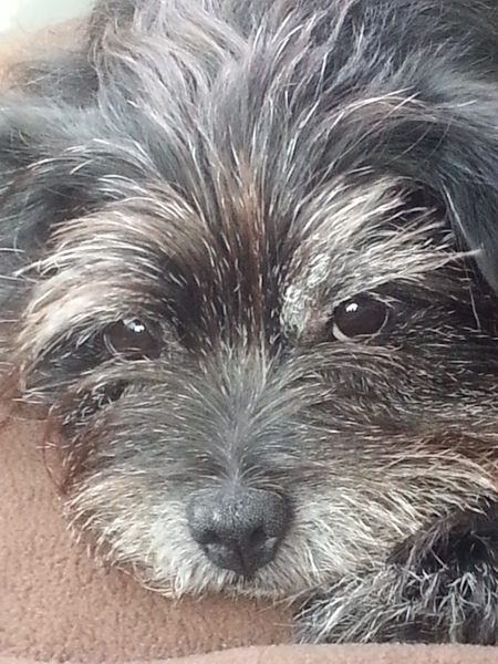 Entry image for Kobe. Clicking this image will show a larger photo