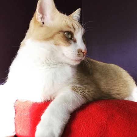 Entry image for Duncan. Clicking this image will show a larger photo