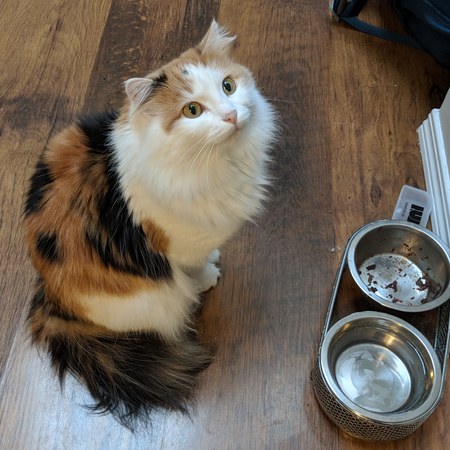 Entry image for Sunshine P. Norman. Clicking this image will show a larger photo