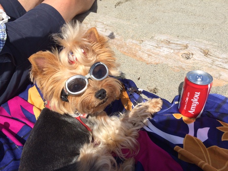 Entry image for Amy Lou. Clicking this image will show a larger photo