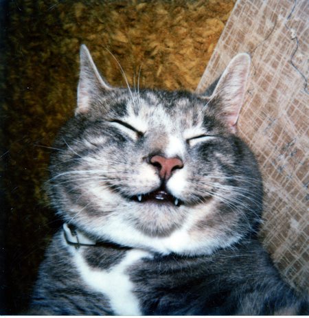 Entry image for BUICK. Clicking this image will show a larger photo