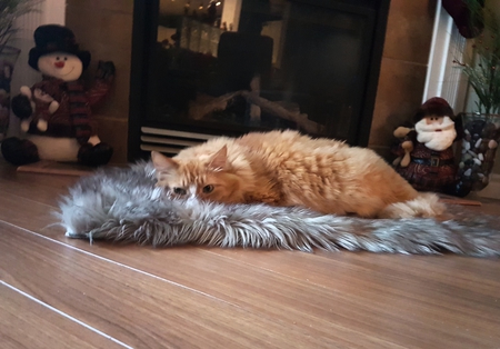 Entry image for Bentley . Clicking this image will show a larger photo