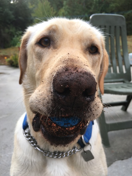 Entry image for Jimmy . Clicking this image will show a larger photo