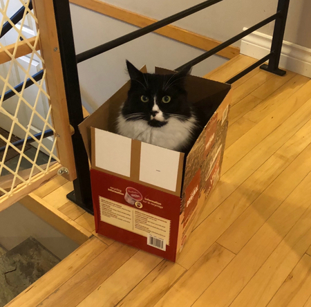 Entry image for Tucker. Clicking this image will show a larger photo