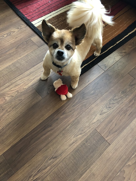 Entry image for Brandy Bradley. Clicking this image will show a larger photo