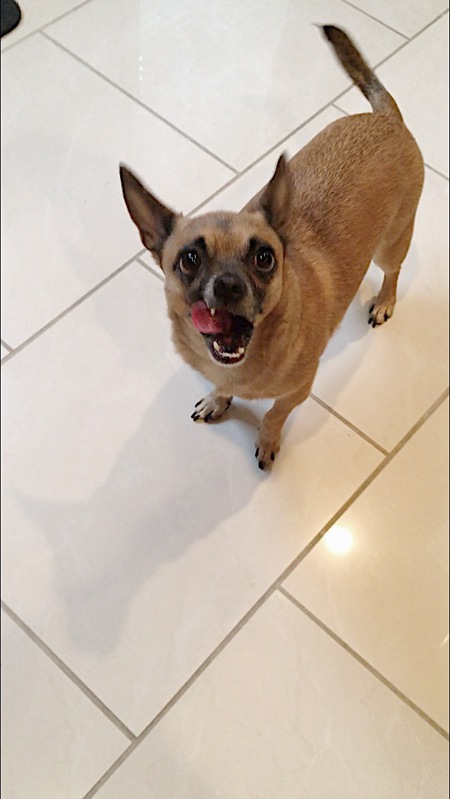 Entry image for Jake. Clicking this image will show a larger photo