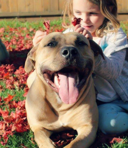 Entry image for Peter. Clicking this image will show a larger photo