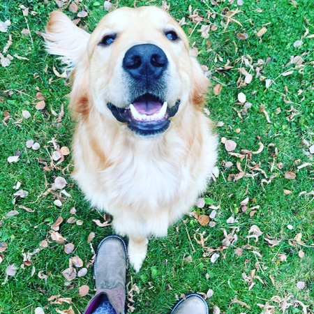 Entry image for Tucker. Clicking this image will show a larger photo