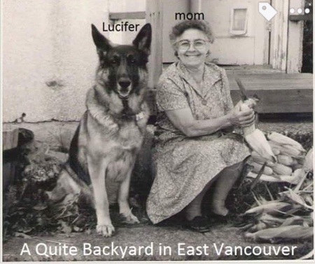 Entry image for Lucifer. Clicking this image will show a larger photo