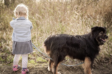 Entry image for Diego. Clicking this image will show a larger photo