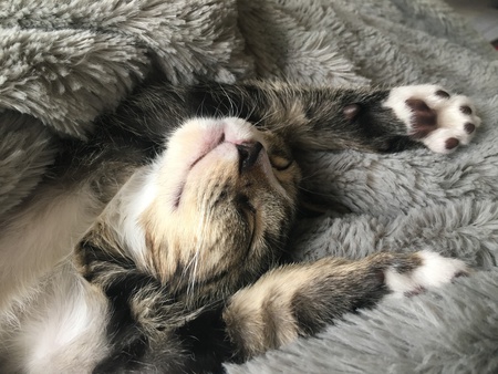 Entry image for George . Clicking this image will show a larger photo