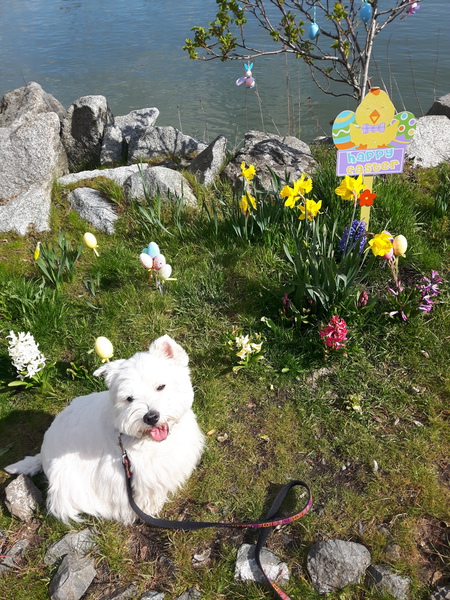 Entry image for Ila. Clicking this image will show a larger photo