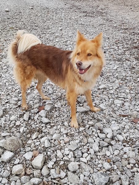 Entry image for Fisher. Clicking this image will show a larger photo