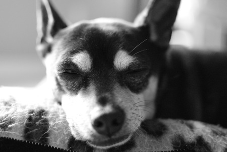 Entry image for Tiny Bubbles. Clicking this image will show a larger photo