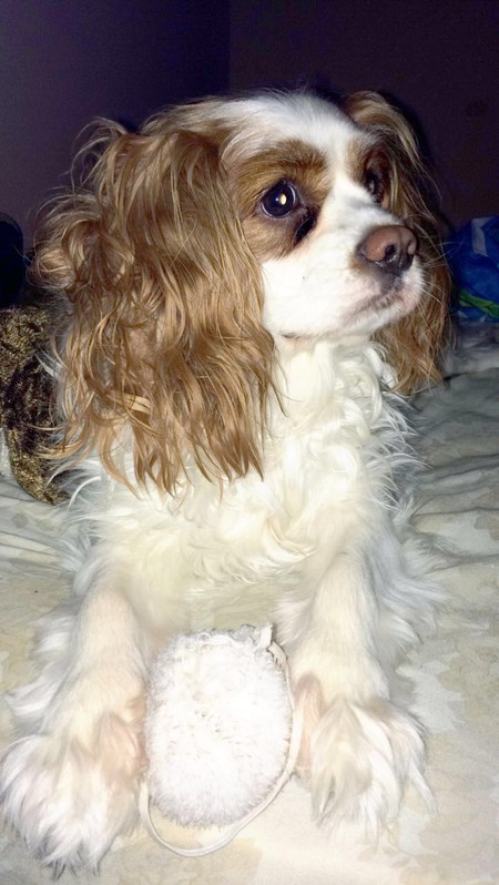 Entry image for Eddie. Clicking this image will show a larger photo