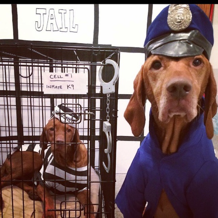 Entry image for Coop and Tuck . Clicking this image will show a larger photo