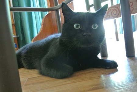 Entry image for Russell. Clicking this image will show a larger photo