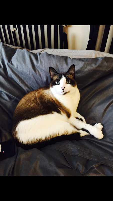 Entry image for Neytiri. Clicking this image will show a larger photo