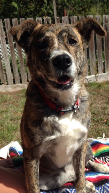 Entry image for Wilma. Clicking this image will show a larger photo