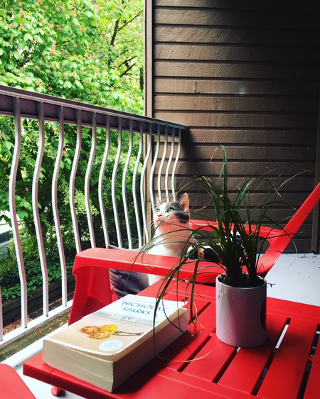 Entry image for Tequila. Clicking this image will show a larger photo