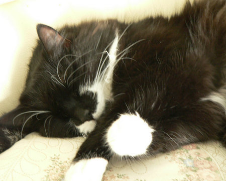 Entry image for Jimmy . Clicking this image will show a larger photo