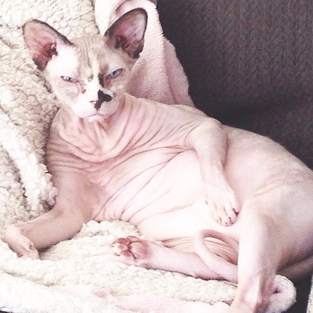 Entry image for Alice. Clicking this image will show a larger photo