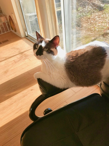 Entry image for Ocean. Clicking this image will show a larger photo