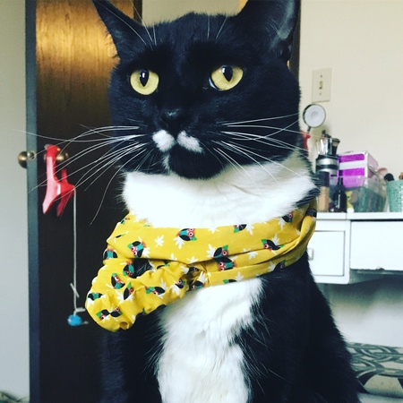 Entry image for Mr. Ninja. Clicking this image will show a larger photo