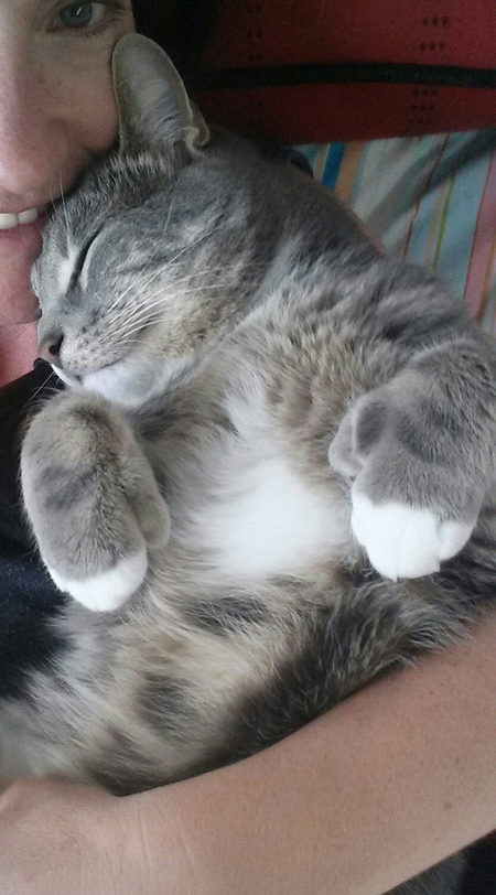 Entry image for Bella. Clicking this image will show a larger photo