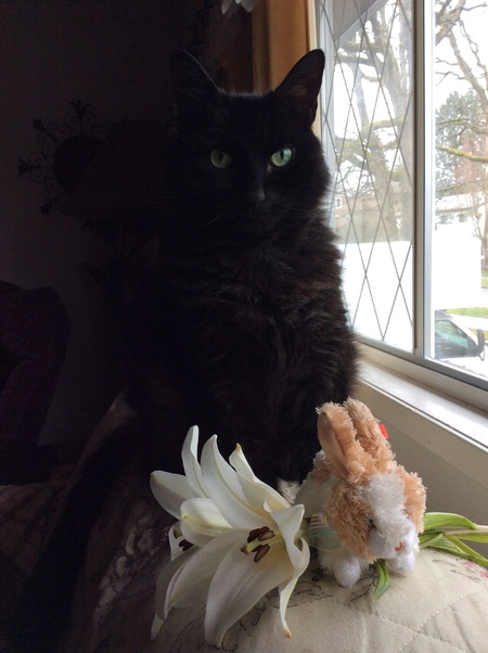 Entry image for Luigi. Clicking this image will show a larger photo