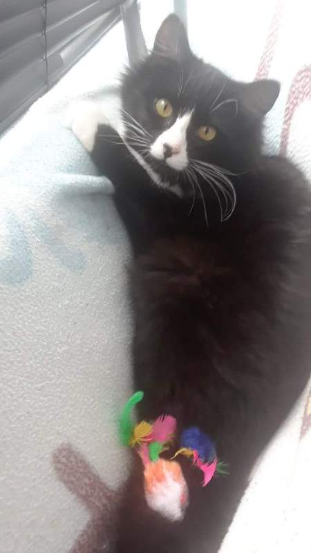 Entry image for Ezra. Clicking this image will show a larger photo