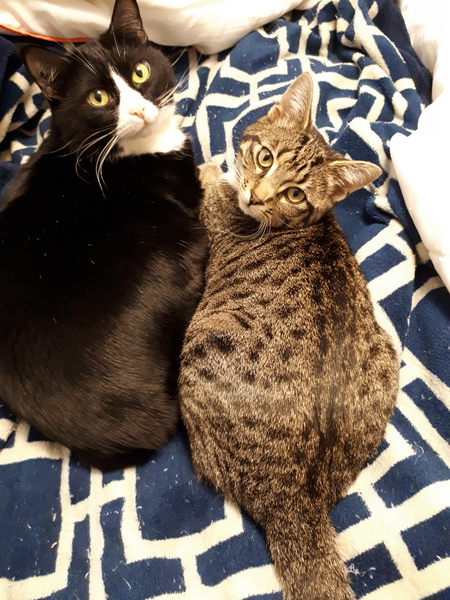 Entry image for Princess and Miracle. Clicking this image will show a larger photo