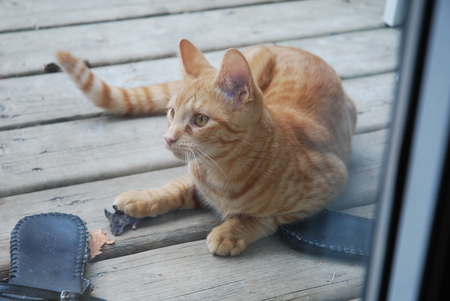 Entry image for August. Clicking this image will show a larger photo