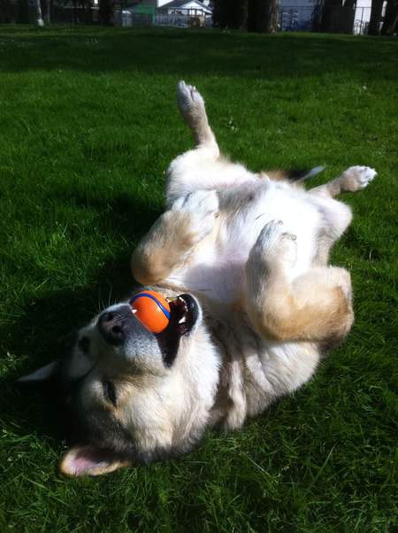 Entry image for Deh Zona. Clicking this image will show a larger photo