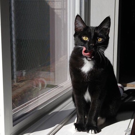 Entry image for Letty. Clicking this image will show a larger photo