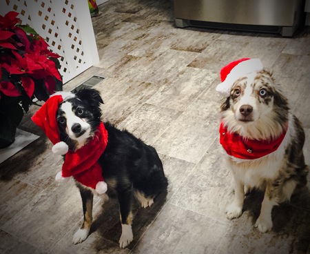 Entry image for Bentley/Indy . Clicking this image will show a larger photo