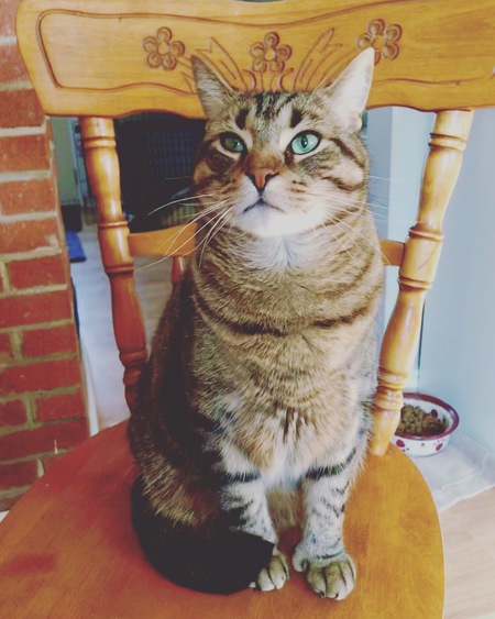 Entry image for Molson . Clicking this image will show a larger photo