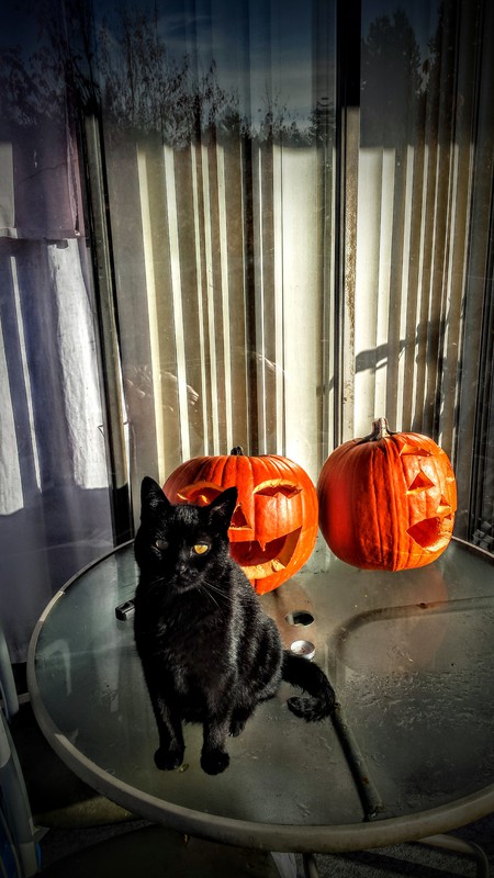 Entry image for Max. Clicking this image will show a larger photo