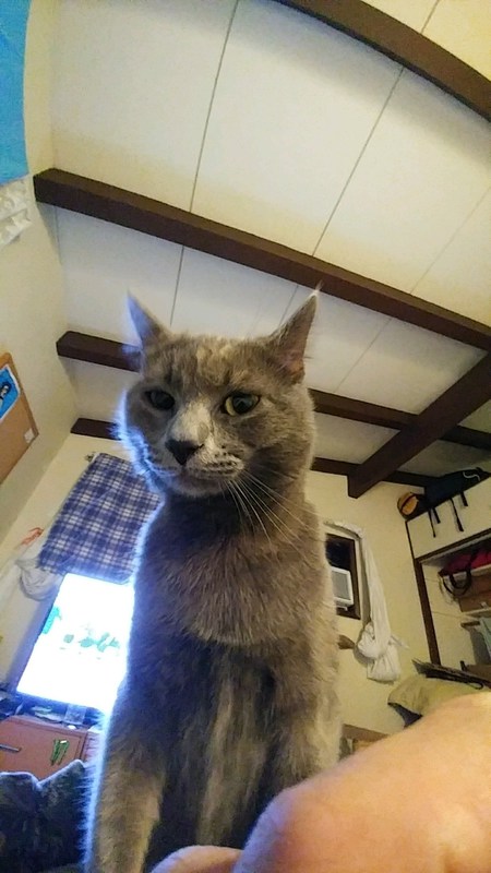 Entry image for Whiskey Timbit Foxtrot. Clicking this image will show a larger photo