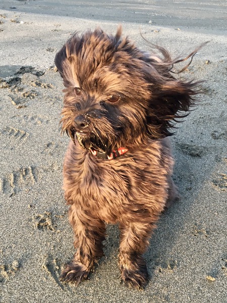 Entry image for Elly-May. Clicking this image will show a larger photo