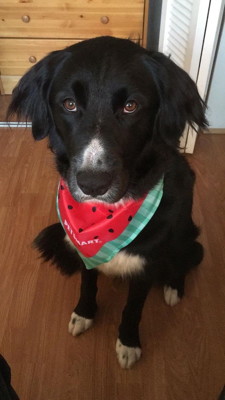 Entry image for Stuart. Clicking this image will show a larger photo