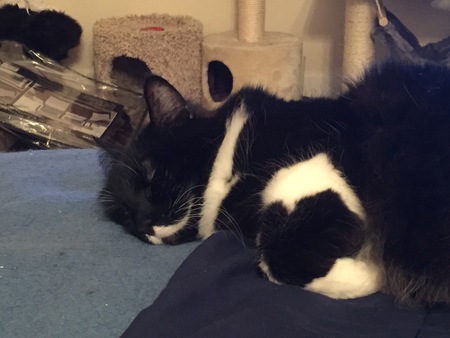 Entry image for Lisbin. Clicking this image will show a larger photo